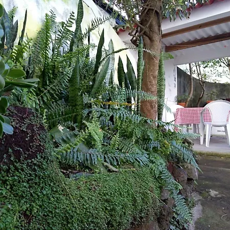 Holiday home Casa Da Ladeira Ponta Delgada (Sao Miguel)